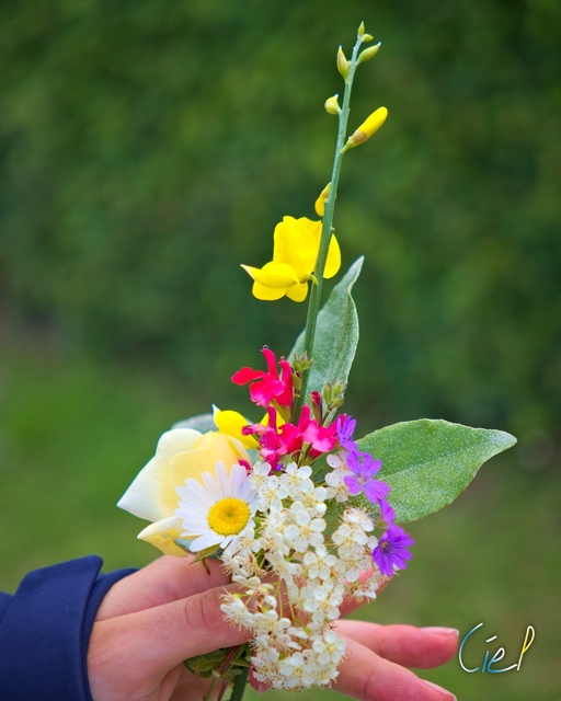 Portfolio photographique